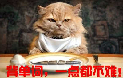 Ӣ�ﵥ�ʼ��侫������Σ�����